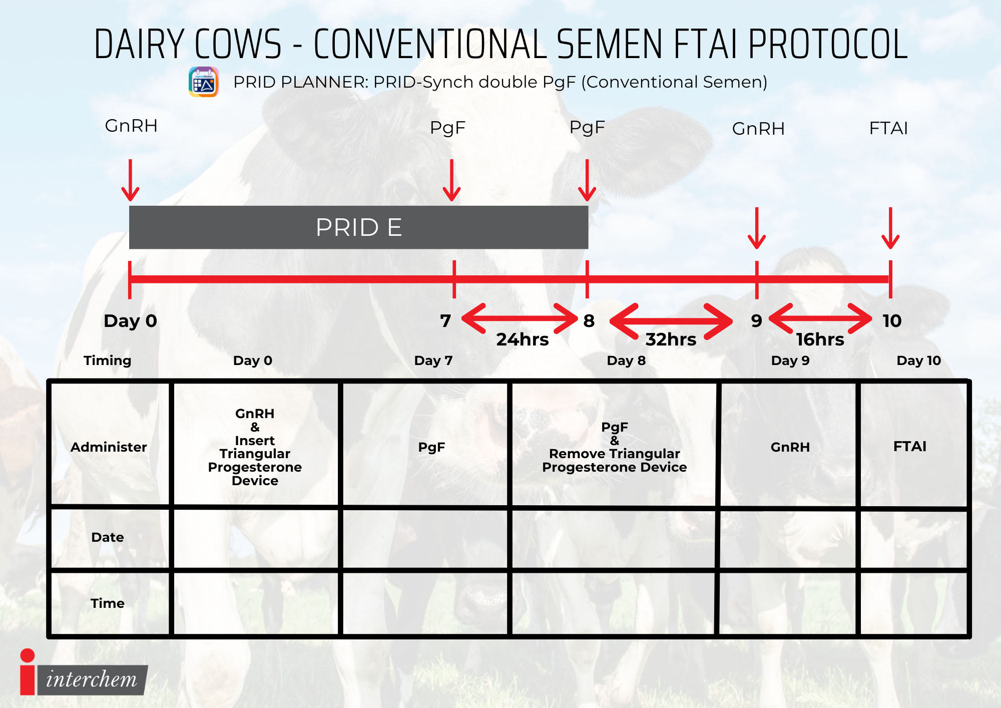 Oestrus Synchronisation Dairy Protocols Cows 