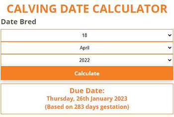 Image of calving date calculator