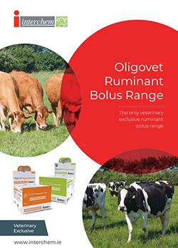 Oligovet Ruminant Bolus Range Brochure